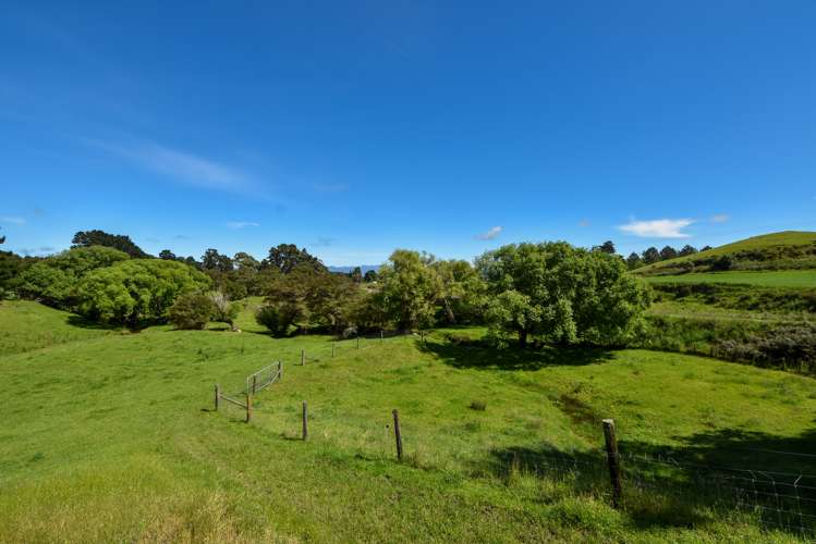 90 Millars Road Longbush_20