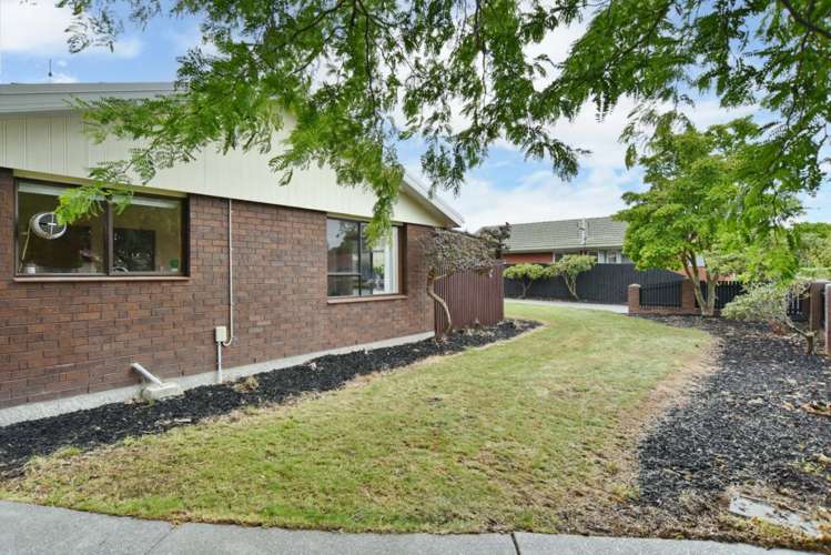 31 Solomon Avenue Redwood_25