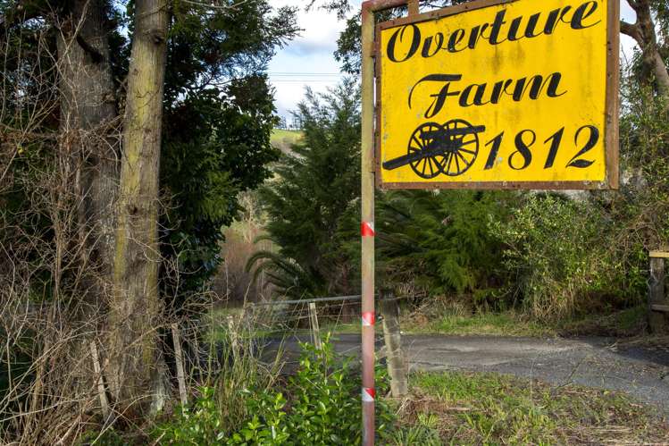 1812 Kaipara Coast Highway Kaukapakapa_24