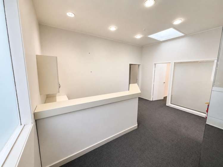 22B Jervois Road Ponsonby_3