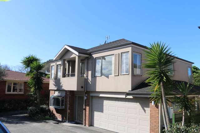 878A Dominion Road Mt Eden_1