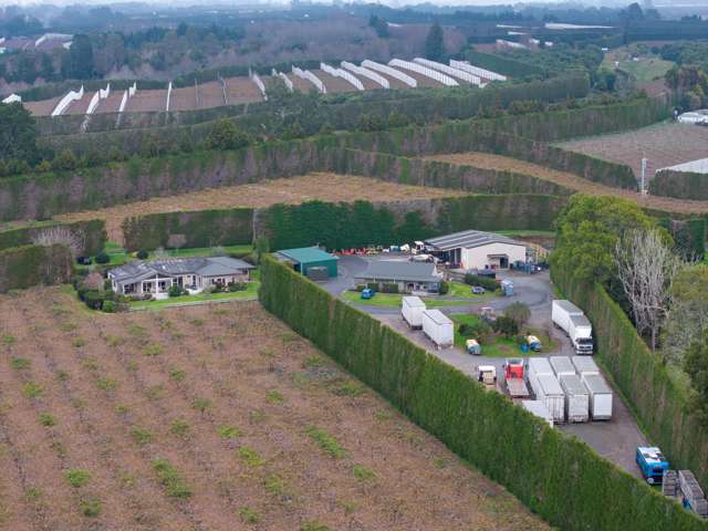 48 Huse Lane Rangiuru_3