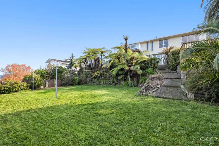 12 Alleyne Court Brown Owl_18