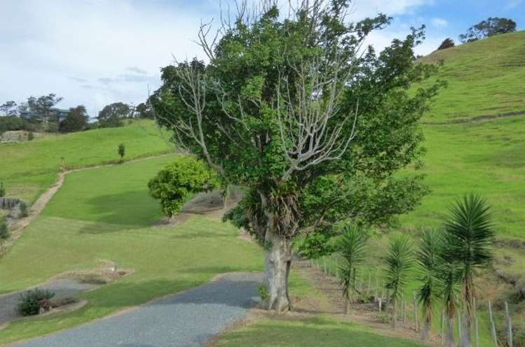 23 Opau Road Oakura_3