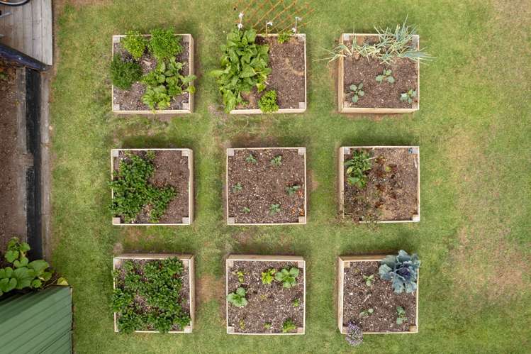 243 Gravatt Road Papamoa_15