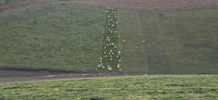 74 Esler Road Pleasant Point_9