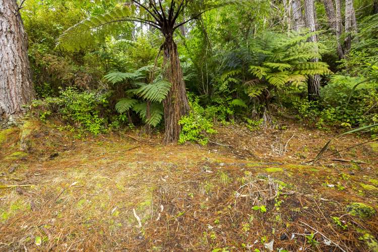 144 Pinehaven Road Pinehaven_9