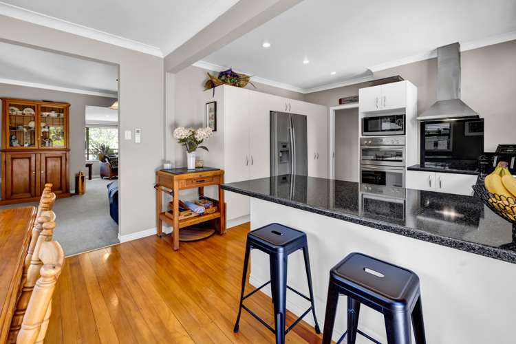 11 Lynton Street Upper Vogeltown_7