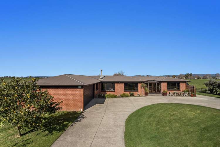 97 East Bank Road Edgecumbe_25