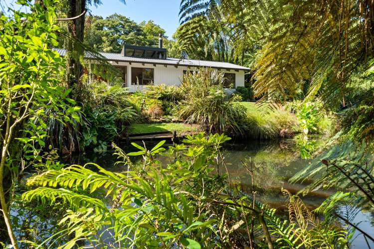 66 Kent Terrace Midhirst_33