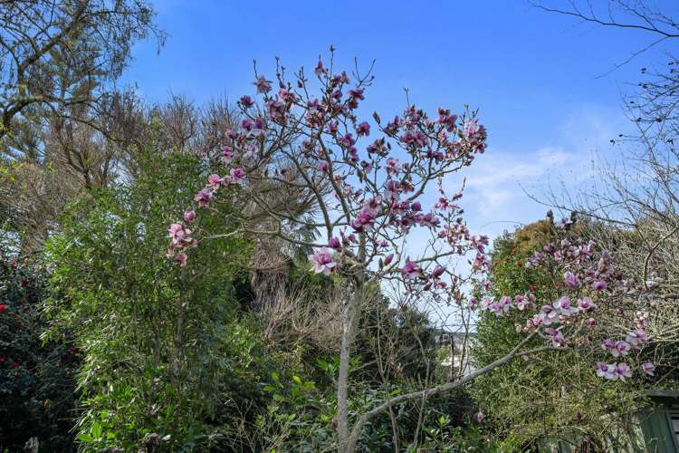 52 Stansell Avenue Tahunanui_30