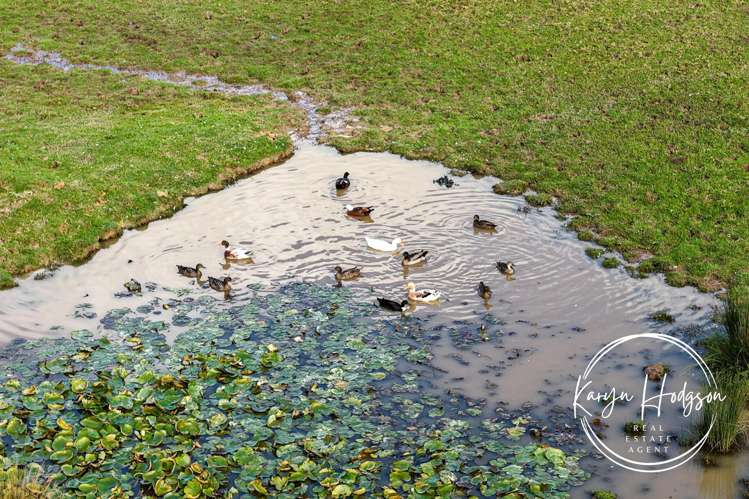 406 Gorge Road Maungaturoto_13