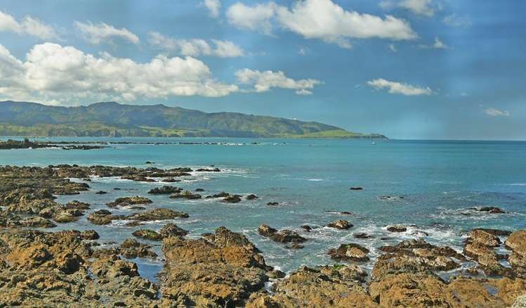 150 The Esplanade Houghton Bay_5