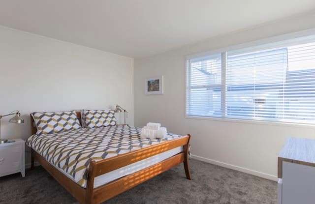 61 Wood Street Freemans Bay_4