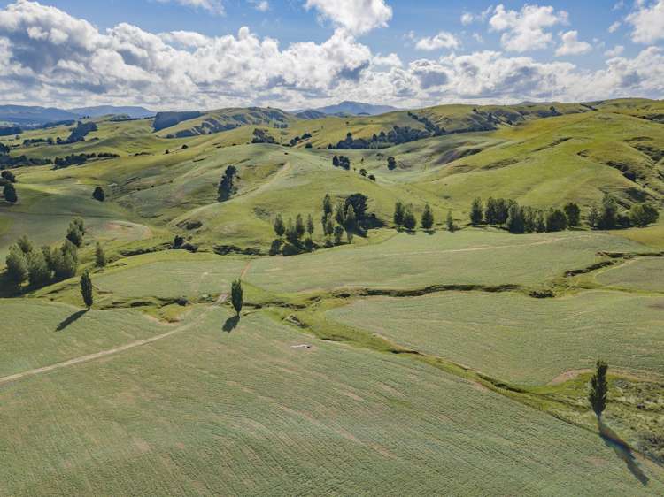 235 Otope Road Dannevirke_22