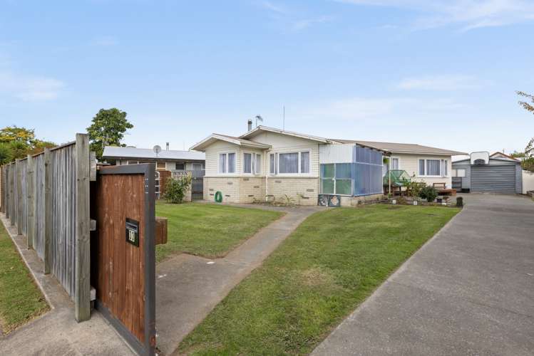 33 Bristol Street Tamatea_12