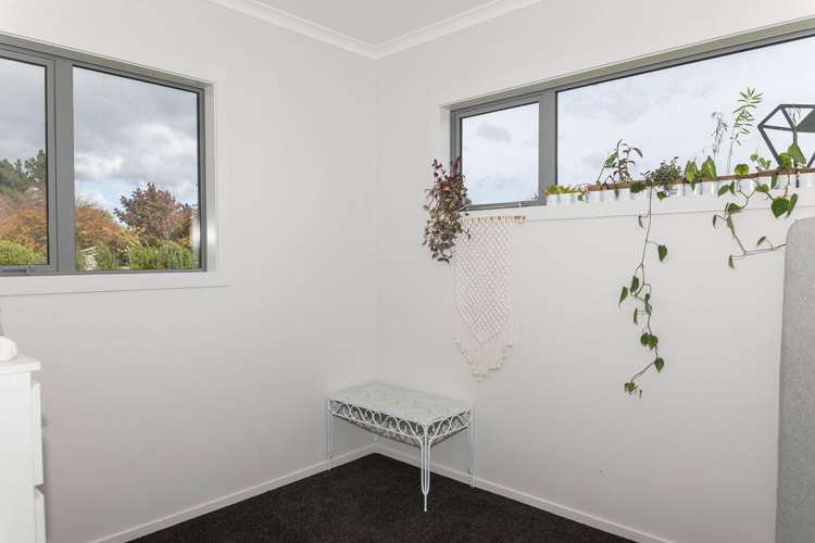 220 Cowper Road Dannevirke_11