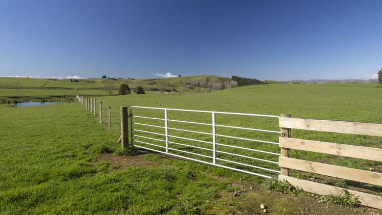 Burnetts Road Masterton_17