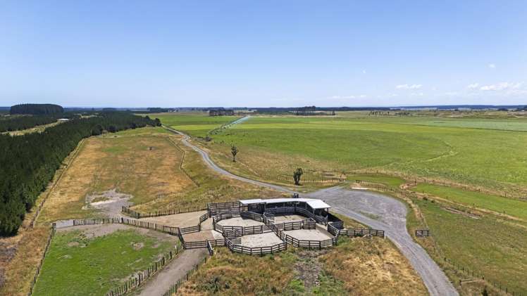 715 Santoft Road Bulls_5