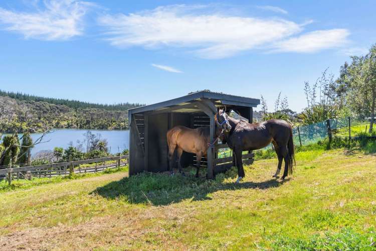 541 Wilson Road South Head_13