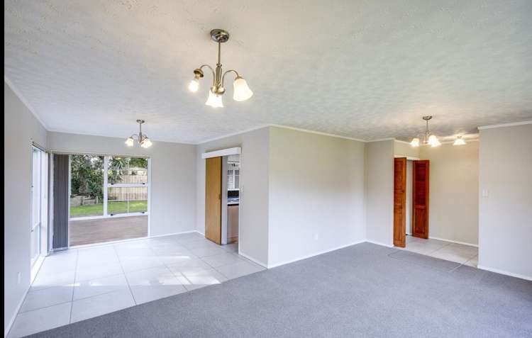 4 Alley Place Taradale_4