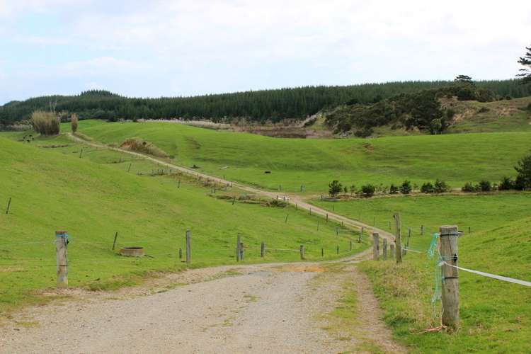 187 Katavich Road Awanui_13