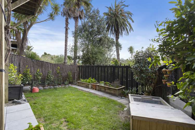 5 Maxwell Avenue Grey Lynn_17