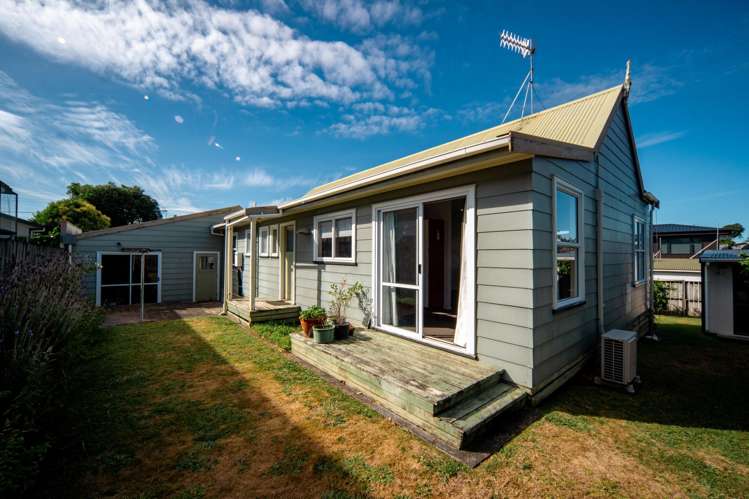 146A Tuhikaramea Road Dinsdale_12