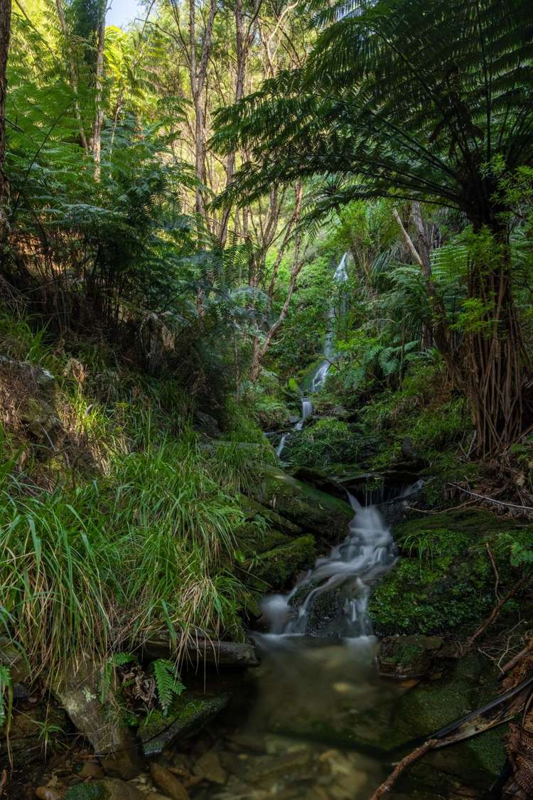 4710 Kenepuru Road Marlborough Sounds_12