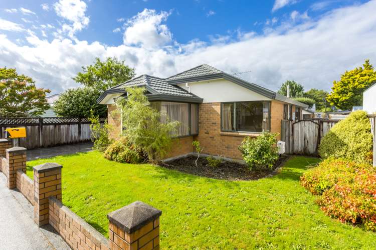 6 Kowhai Avenue Ebdentown_18