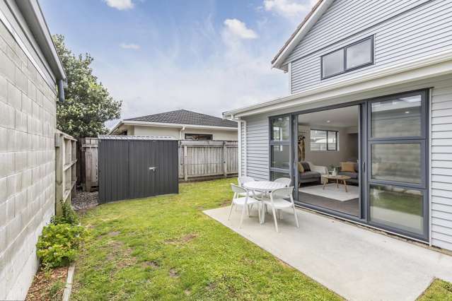 103B Hobart Street Miramar_2