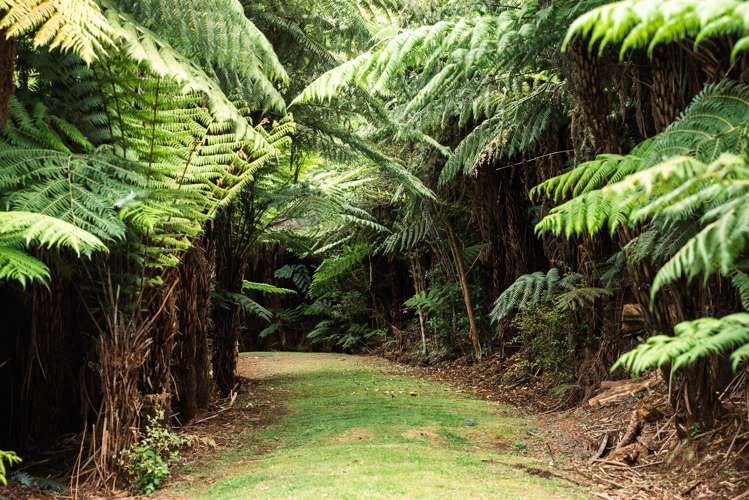 183 Rangitane Road Kerikeri_18