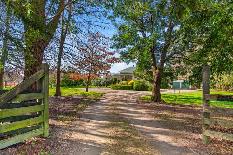 41 Millard Avenue Kuripuni_22