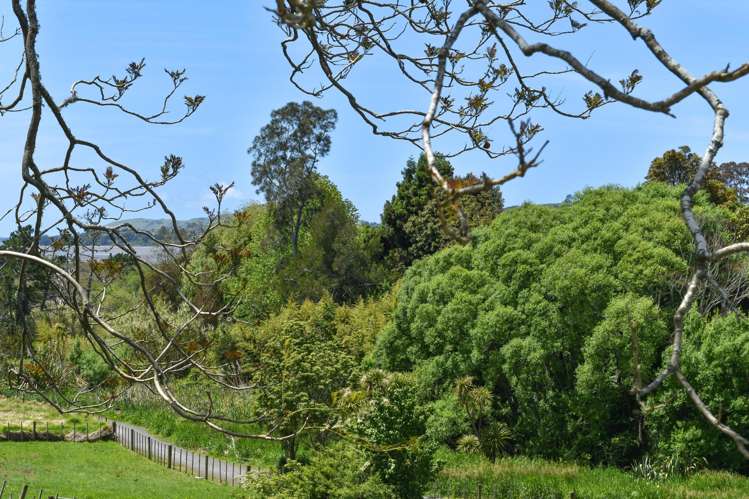 26 Hammond Street Hairini_9