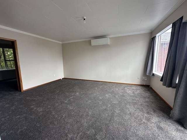 58c Cutfield Road New Plymouth_2