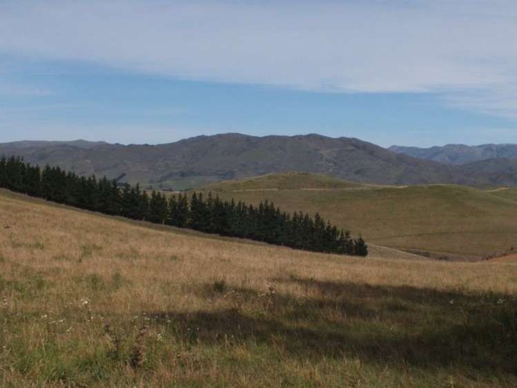 216 Broxton Road MacDonald Downs_14