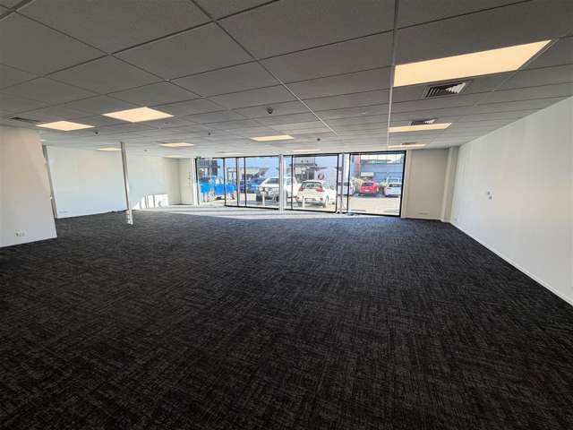 91 Picton Avenue Riccarton_1