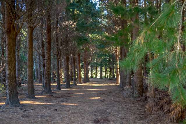 351 Upper Waingawa Road Kaituna_1