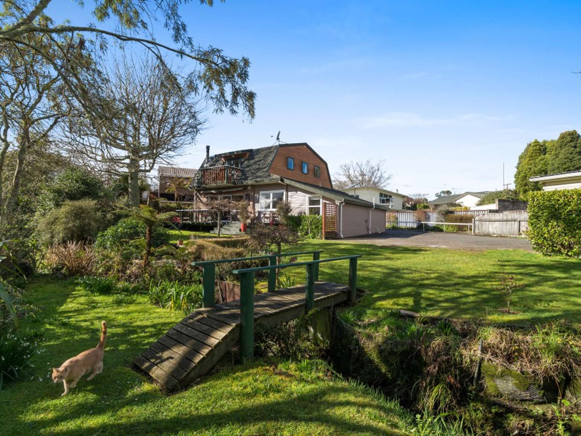 47a Iles Road Lynmore Rotorua Houses for Sale One Roof