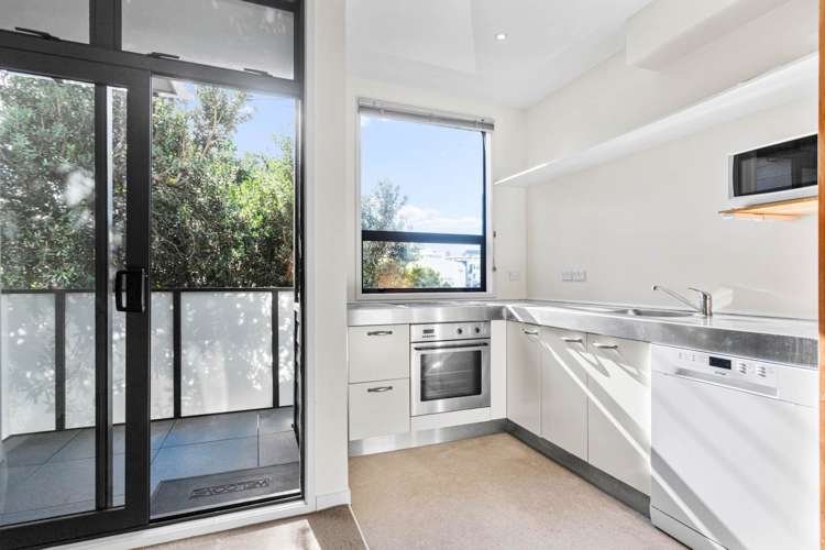22 Harold Street Mt Eden_3