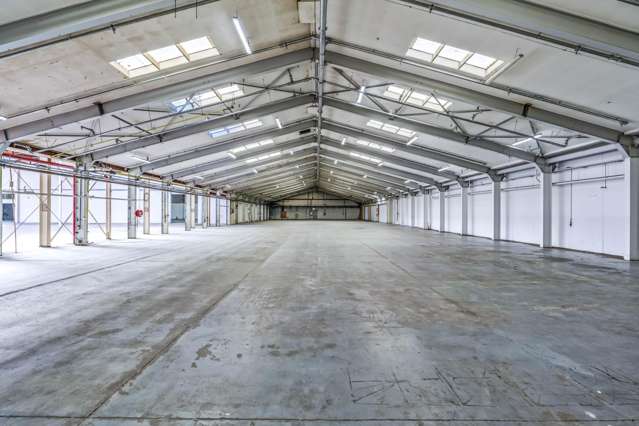 48 Wilkinson Road Ellerslie_4