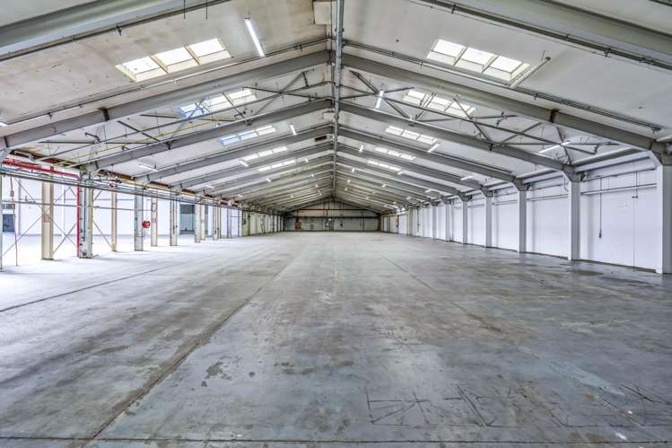 48 Wilkinson Road Ellerslie_4