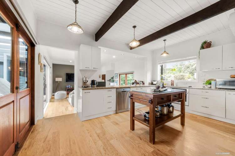 212 Ara-Kotinga Whitford_7