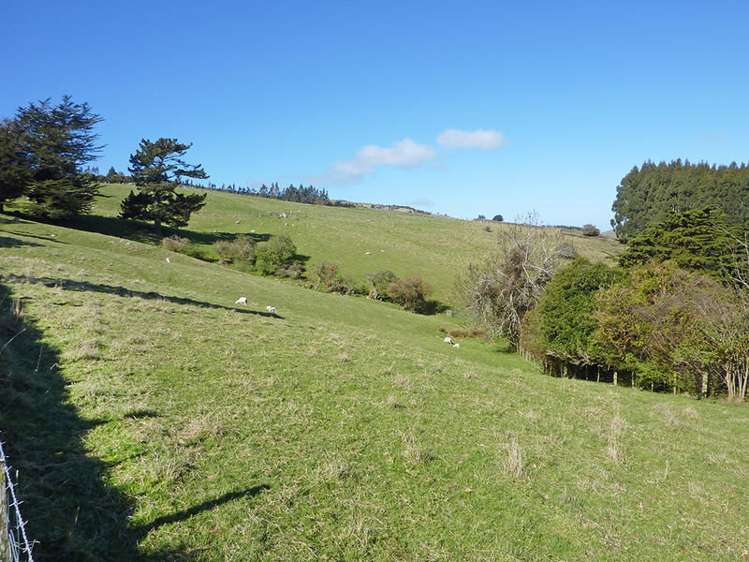 58 Cowan Road Pine Hill_9