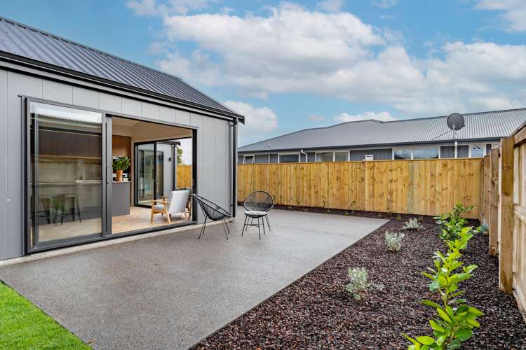 6 Farley Avenue Greytown_20