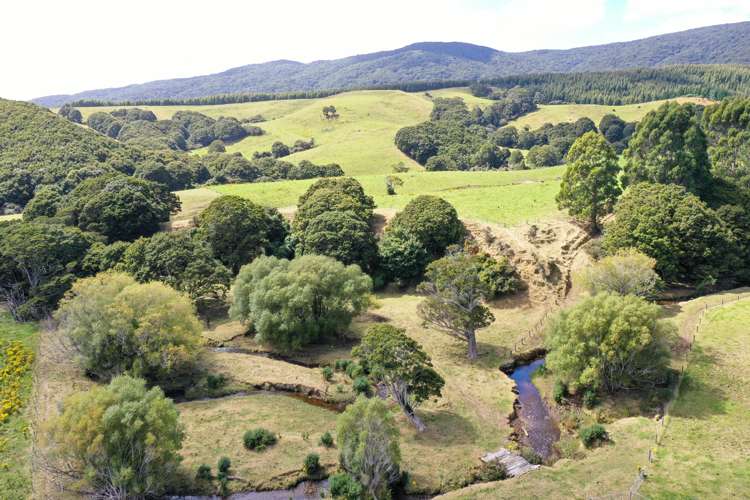 110 Harrison Road Tuatapere_13