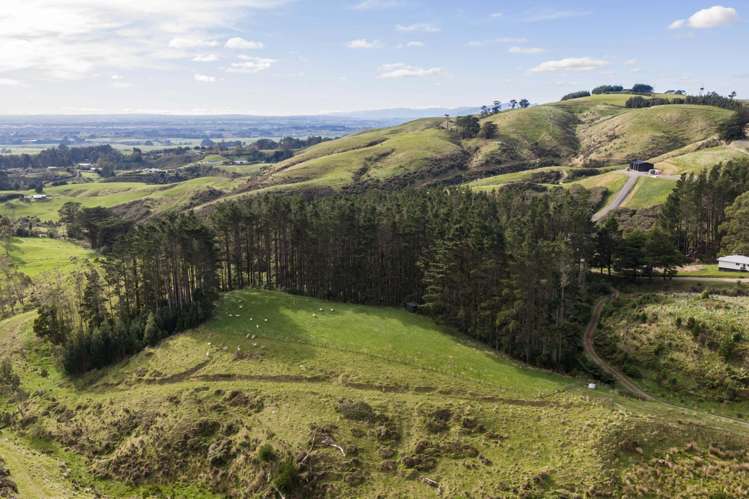 58 Greens Road Linton_11