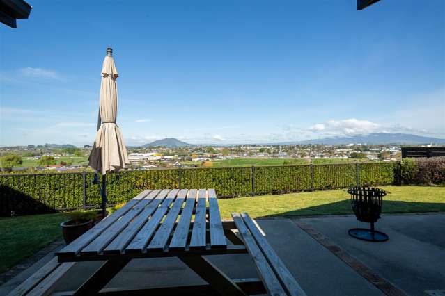 409 Picquet Hill Road Te Awamutu_2