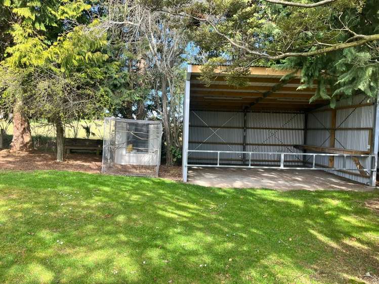 85 Northumberland Street Tapanui_17