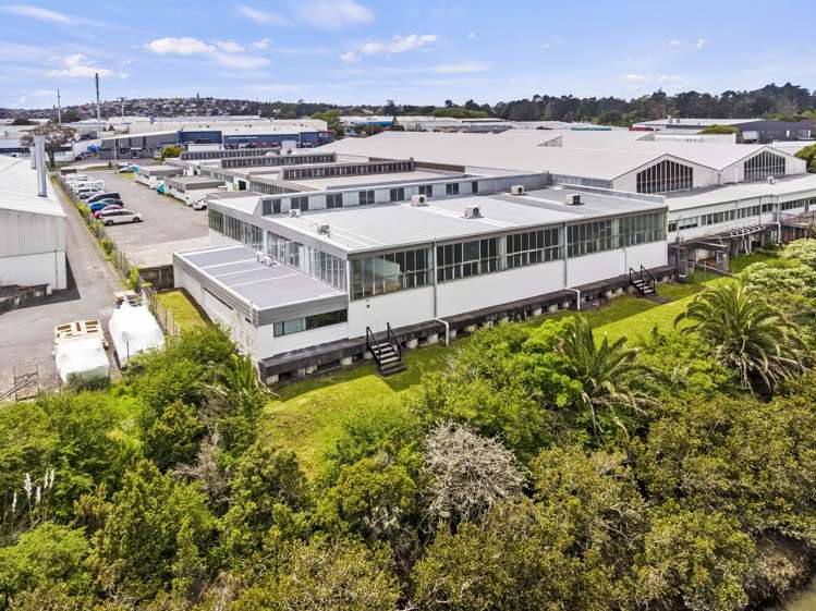 D/45 Ben Lomond Crescent Pakuranga_11